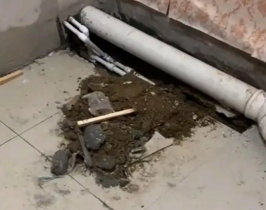 双清卫生间漏水检测哪家好