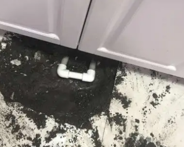 双清查漏水哪家好