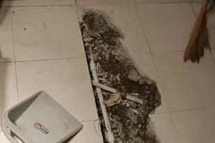 双清卫生间漏水检测电话